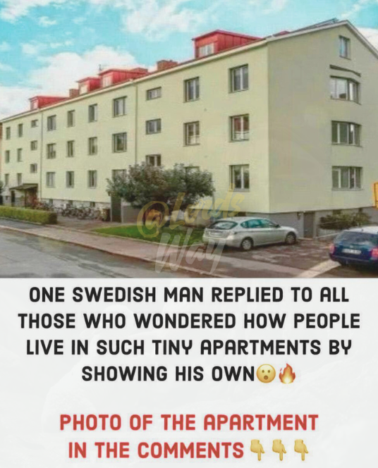 He Downsized After Divorce—But What He Built Next Left Everyone Speechless 1