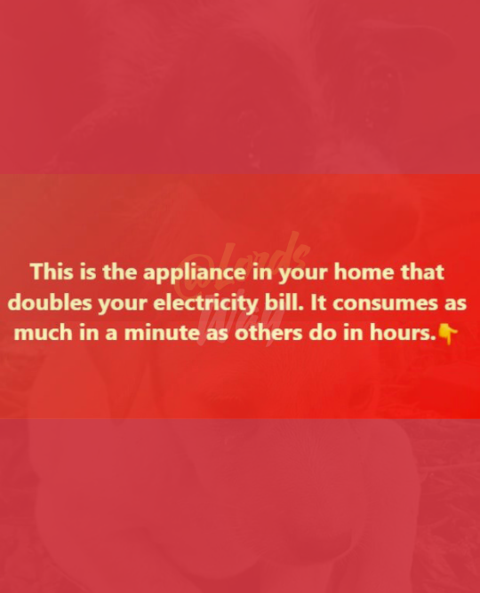 The Appliance Secretly Draining Your Wallet Every Month 1