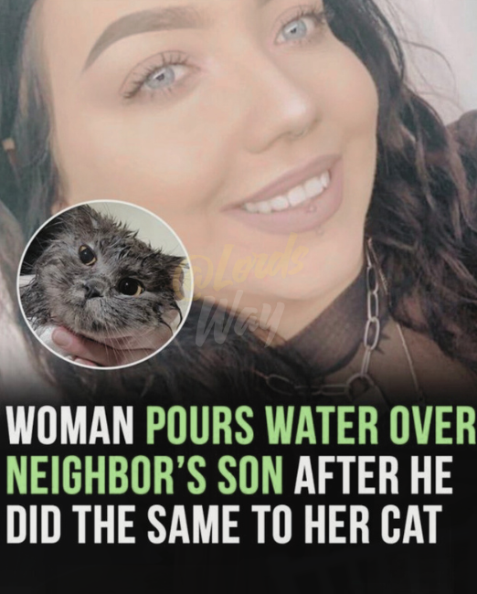“His Dad Is at My Door Furious” — But What Happened to the Dog? 10