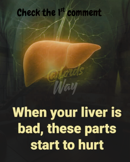 Your Liver Could Be Crying for Help — And You’re Ignoring the Signs 11
