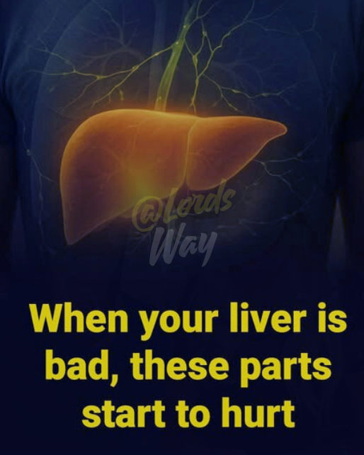 The Silent Liver Warning Most People Ignore 11