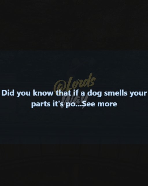 The Real Reason Dogs Do This (And It’s Not What You Think) 11