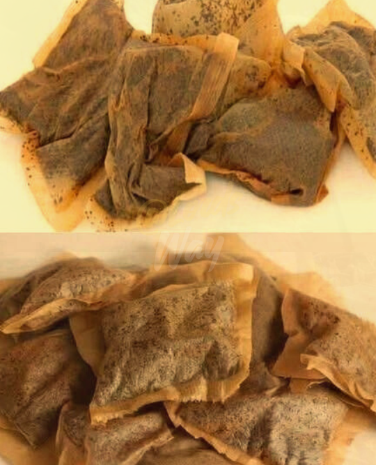 Before You Throw Away That Tea Bag... Read This 15