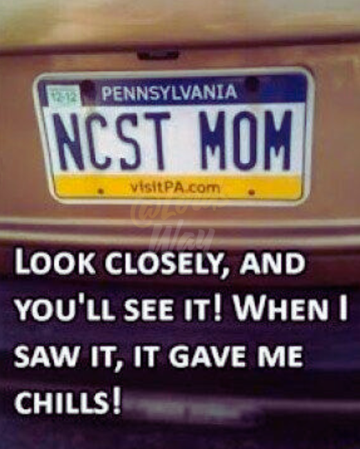 This License Plate Looks Normal… Until You Flip It 7