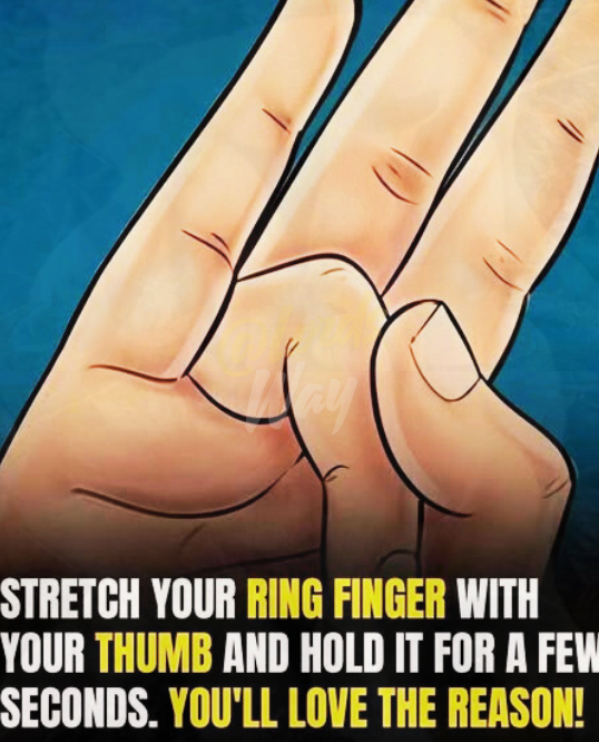 Hold Your Ring Finger for 5 Seconds — The Surprising Calm It Triggers 9