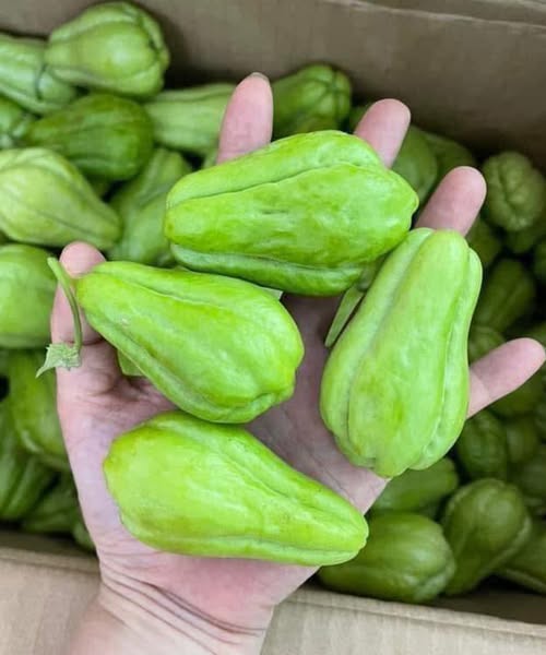 The Simple Green Vegetable That May Help Balance Blood Sugar 1