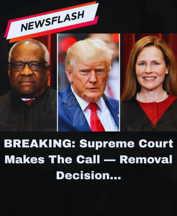 A Quiet Supreme Court Decision That Could Change the Fate of Asylum Seekers 10