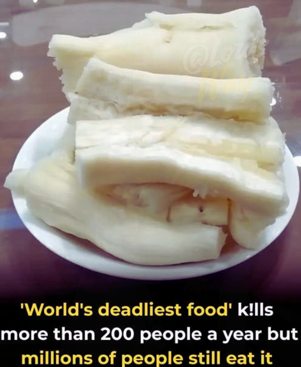 Everyday Foods That Could Turn Dangerous Without You Knowing 11