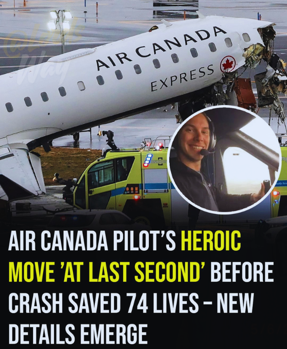 The Landing Felt Normal… Until Everything Suddenly Shifted 11