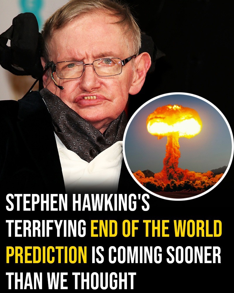 Stephen Hawking’s Chilling Warning About Earth’s Future 3