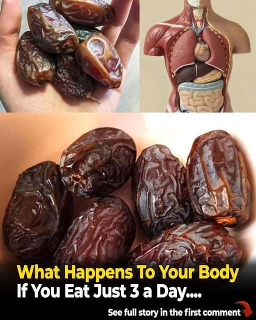 The “3 Dates a Day” Secret They Don’t Want You to Notice 3