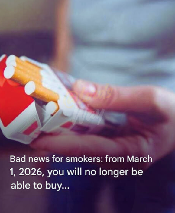 Why a Pack of Cigarettes in France Now Costs Over €13 4