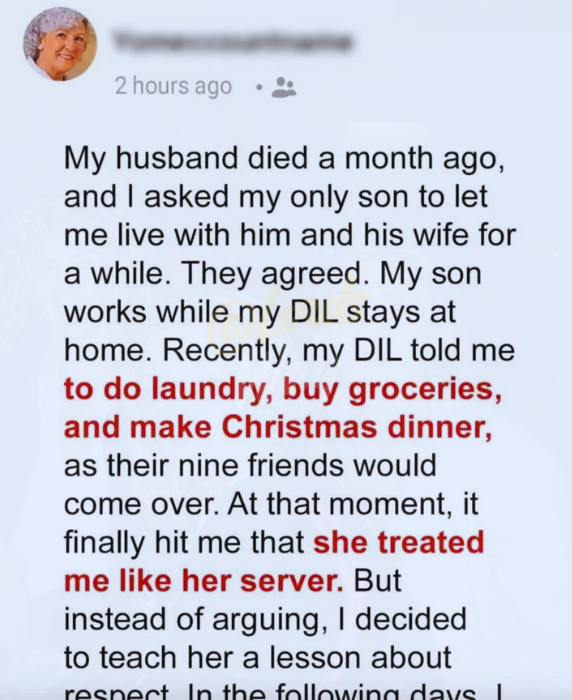My Daughter-in-Law Treated Me Like the Housekeeper… Until Christmas Dinner Changed Everything 5