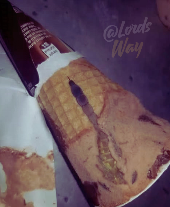 The Ice Cream Surprise That Changed Everything in One Bite 6