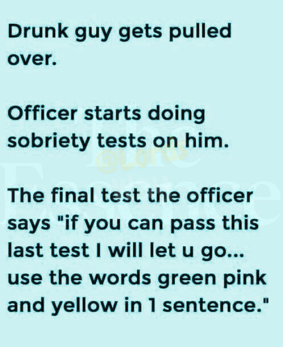 The Night a Simple Traffic Stop Changed Everything 6