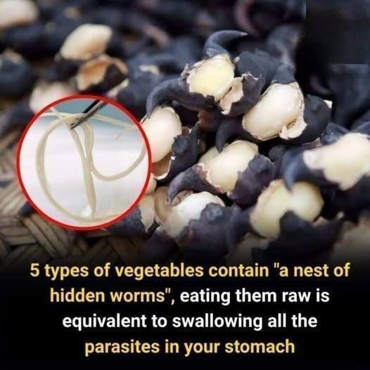 The “Healthy” Vegetables That May Carry Hidden Parasites 7