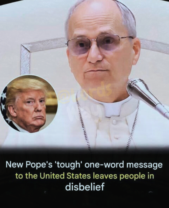 The One Word From Pope Leo XIV That Stunned Everyone 8