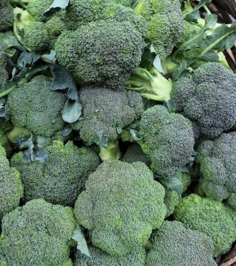 The Broccoli Cooking Mistake That Destroys Its Benefits 8