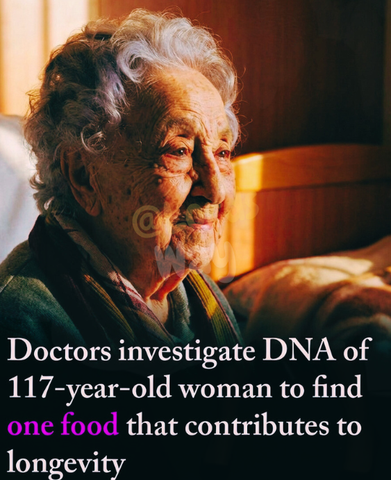 The 117-Year-Old Woman Whose DNA May Reveal the Secret to Longevity 9