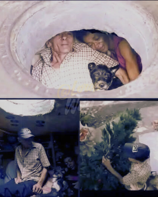 Home Inside a Concrete Shell 9