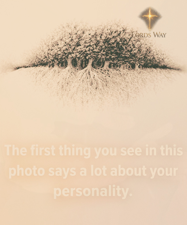 What You See First Reveals More Than You Think 1