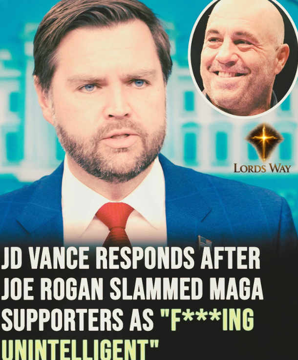 Joe Rogan Turns on MAGA—And the Fallout Is Explosive 11