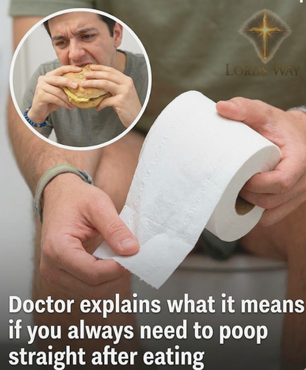 Why You Suddenly Need the Bathroom After Eating—It’s Not What You Think 11
