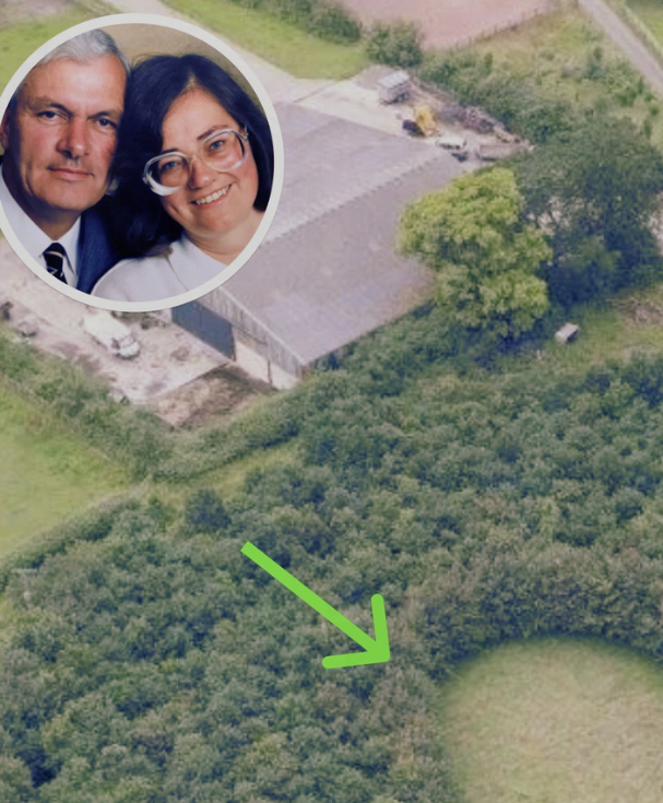 He Hid a Heart in the Forest—And No One Knew for Years 11