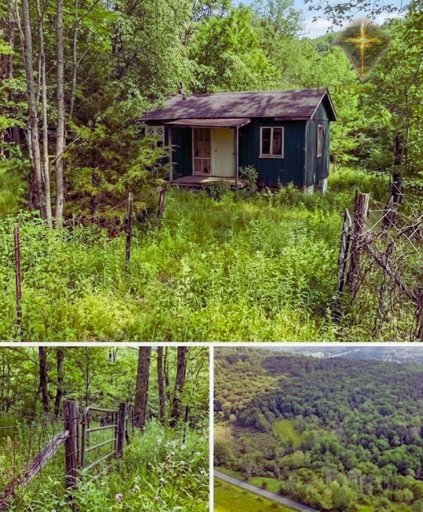 This Hidden 1.5-Acre Escape Feels Like a Secret the World Isn’t Ready For 3