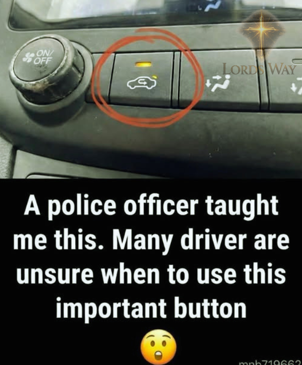You’ve Been Using This Car Button Wrong Your Entire Life 3