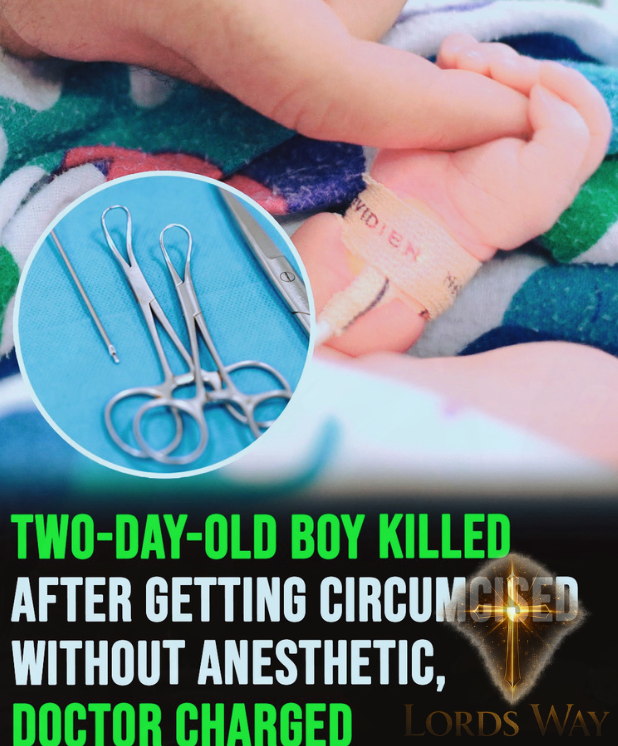 The Routine Procedure That Turned Into a Nightmare 4