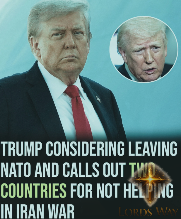 The NATO Bombshell That Could Reshape the World 6
