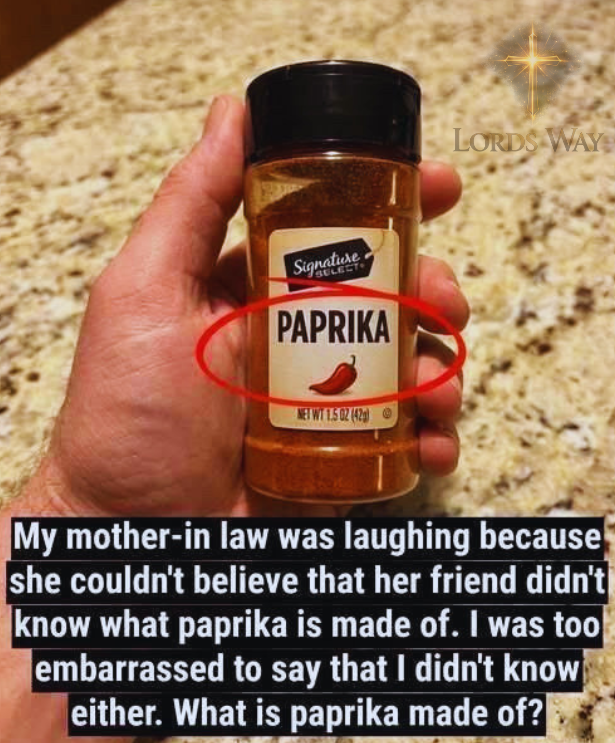 I Used Paprika My Whole Life… Then I Found Out What It Really Is 7