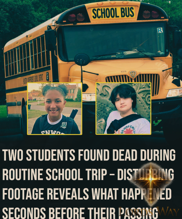 The Field Trip That Turned Into a Nightmare in Seconds 7