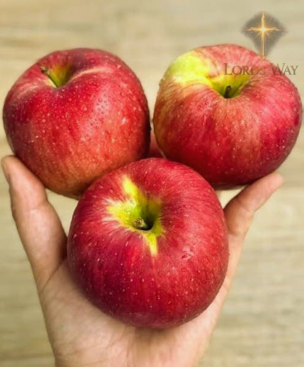 Doctors Say This Simple Fruit Does More Than You Think 9