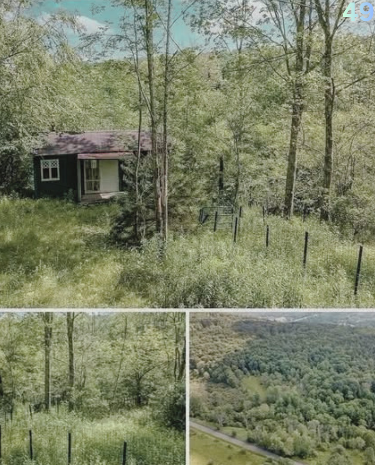 The Hidden Cabin Deep in the Woods That Has Everyone Dreaming of Disappearing 2