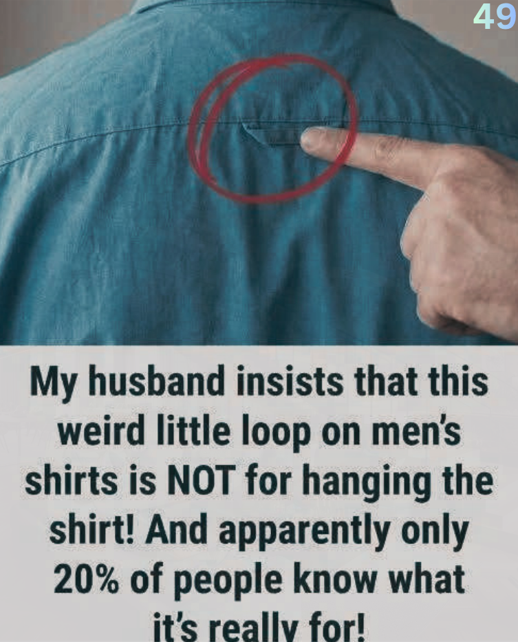 The Tiny Loop on Your Shirt Has a Secret History Most People Never Knew 3